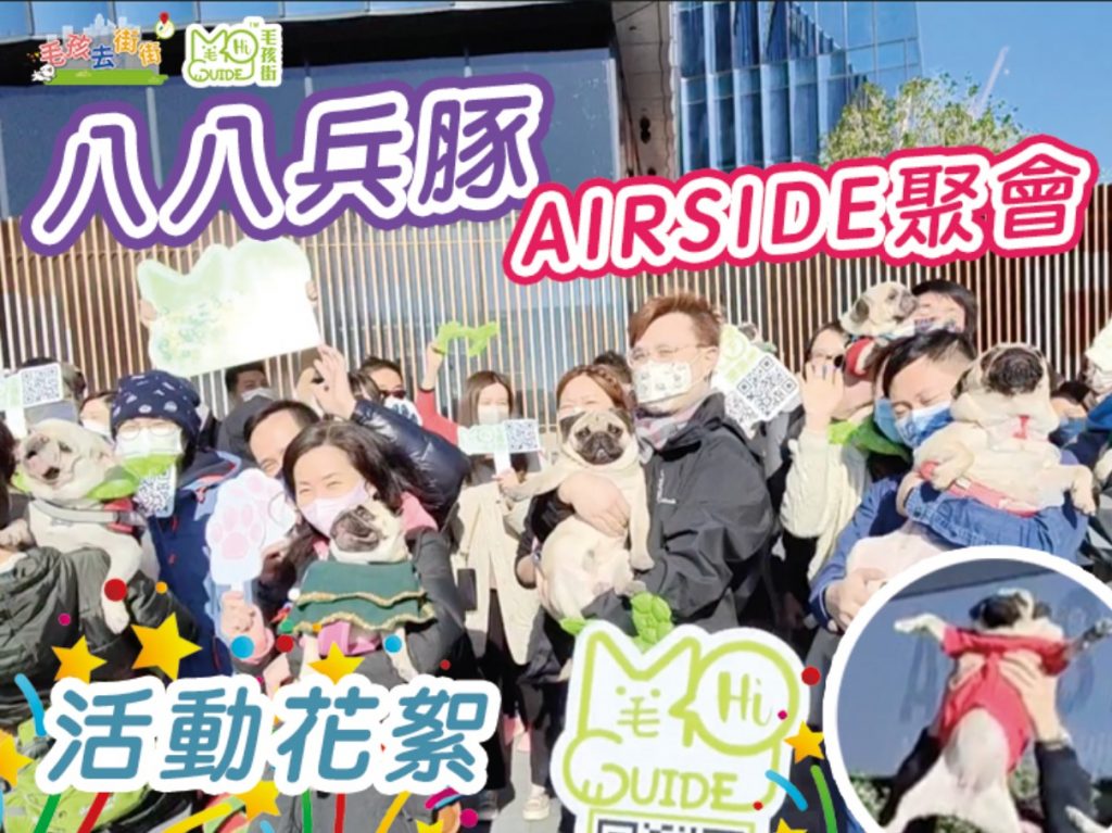 【毛孩街 X 八八兵豚 】