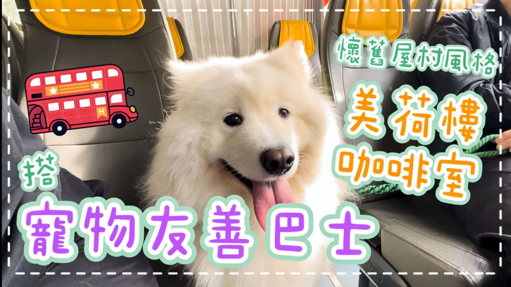 【毛孩街x Big Dog Channel】