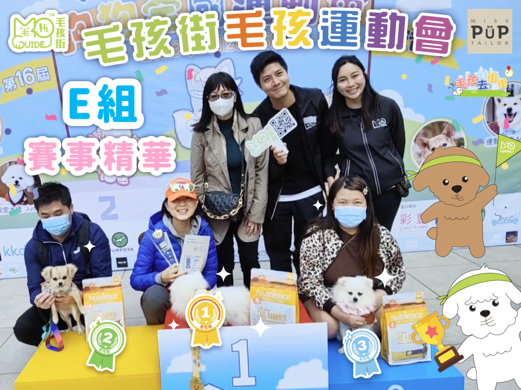 【毛孩街 X Miss Pup Tailor】⛳️毛孩運動會🏆【E組】活動花絮+賽事精華🏅