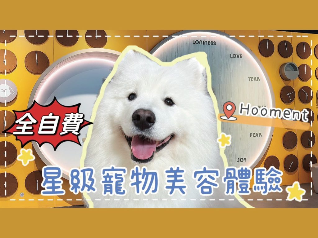 【毛孩去街街】元朗Hooment⭐星級「寵物美容」體驗