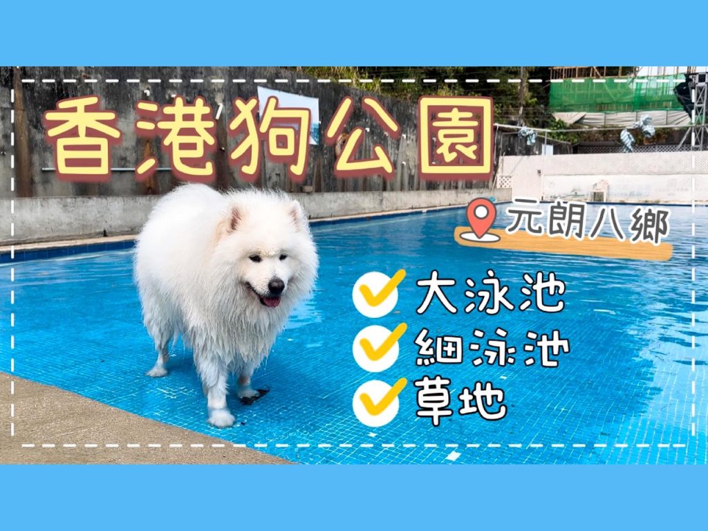 【毛孩街x Big Dog Channel】
