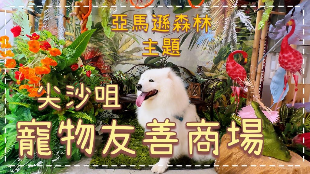 【毛孩去街街】尖沙咀寵物友善商場，狗狗可落地，室內全冷氣｜廣東八十 Cantonyama｜Buzz Pet Friendly Mall｜【毛孩去街街】