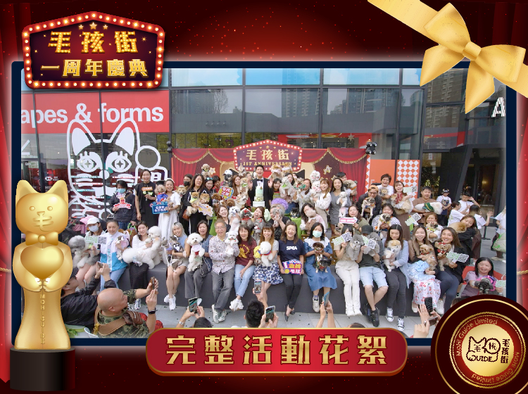 《毛孩街 X Airside》 🎉毛孩街一週年慶典🎉