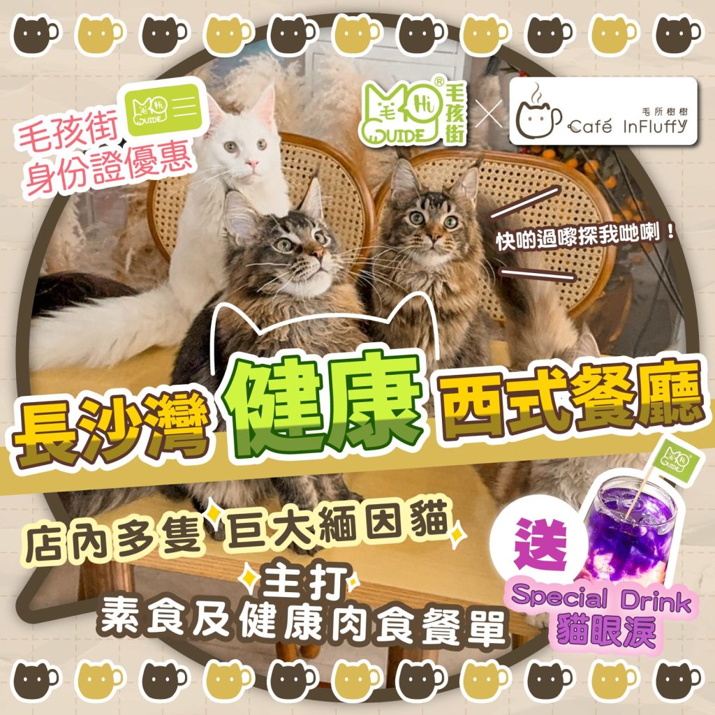 🐕 毛孩街 X 毛所樹樹 🐱毛孩街身份證優惠🪪