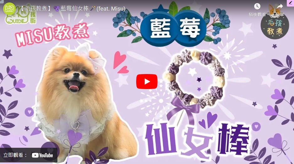 【毛孩教煮】🫐藍莓仙女棒🪄(feat. Misu)