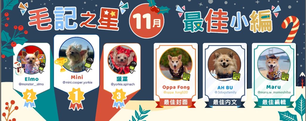 11月毛記之星