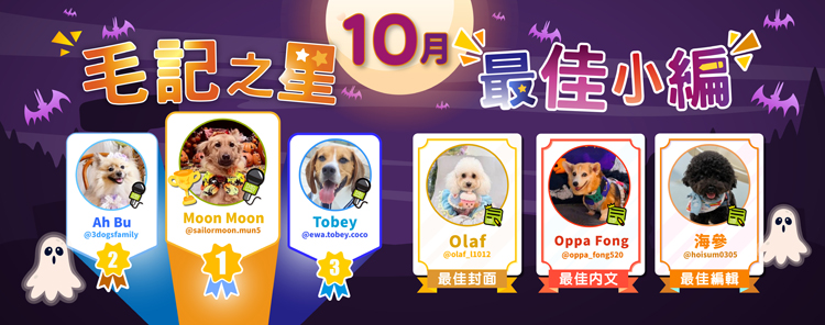🎉10月毛記之星+小編🎊