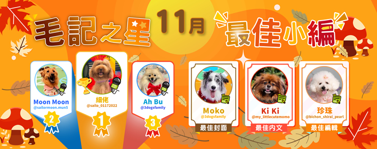 🎉11月毛記之星+小編🎊