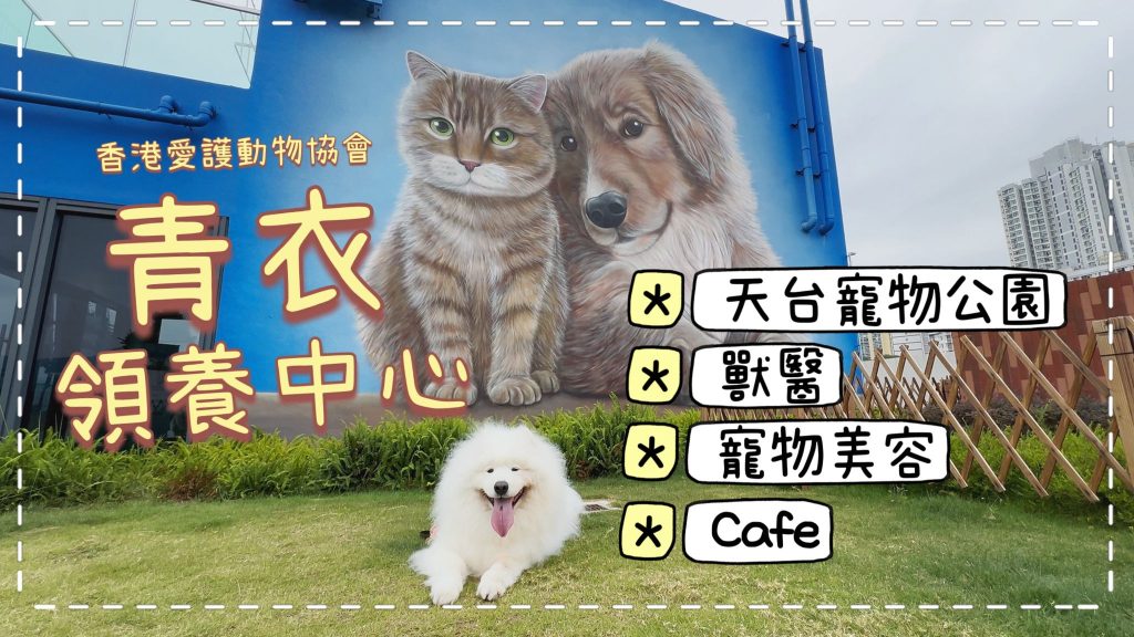 【狗狗好去處】一個領養中心，有齊Cafe、獸醫、寵物美容、天台寵物公園，香港愛護動物協會賽馬會百周年紀念中心｜西摩Tako