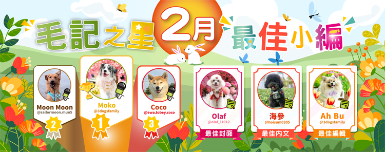 🎉2月毛記之星+小編🎊
