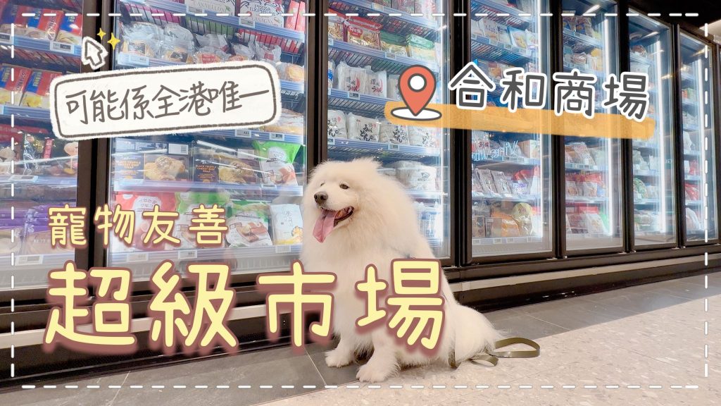 【灣仔合和商場】可能係全港唯一寵物友善「超級市場」，狗狗可以落地行，還有寵物友善Cafe｜西摩Tako｜