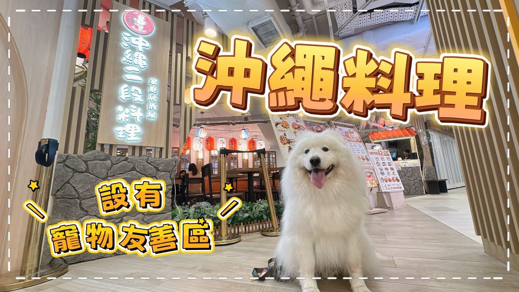 【寵物友善餐廳】帶狗狗去食沖繩料理，餐廳自設超大「寵物友善區」，帶大狗都唔覺迫｜西摩Tako｜