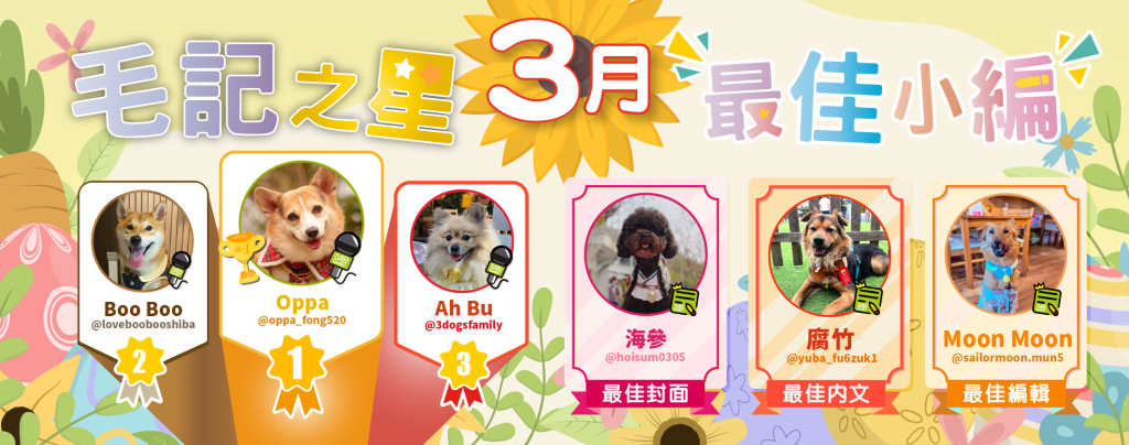 🎉3月毛記之星+小編🎊 🎉3月毛記之星+小編🎊
