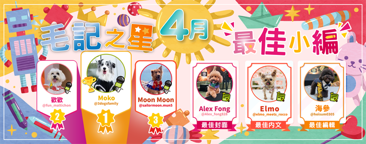 🎉4月毛記之星+小編🎊 🎉4月毛記之星+小編🎊