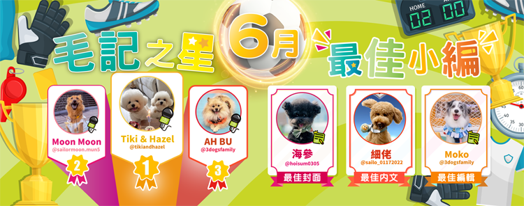 🎉6月毛記之星+小編🎊